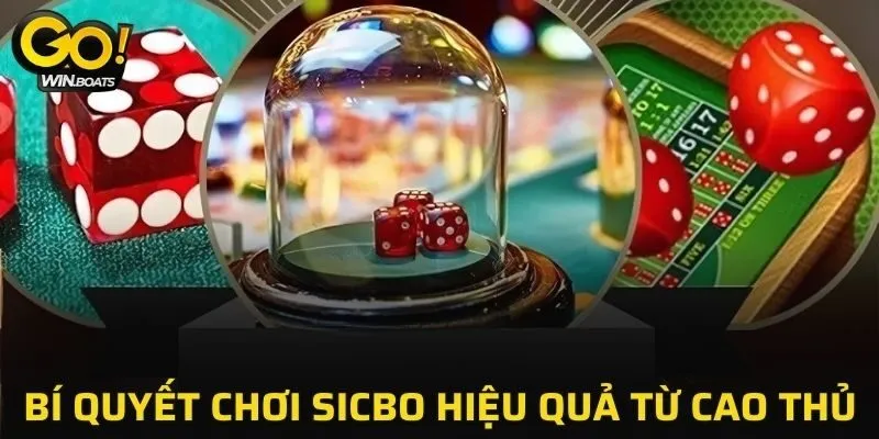 5 bí quyết giúp bạn chinh phục Sicbo