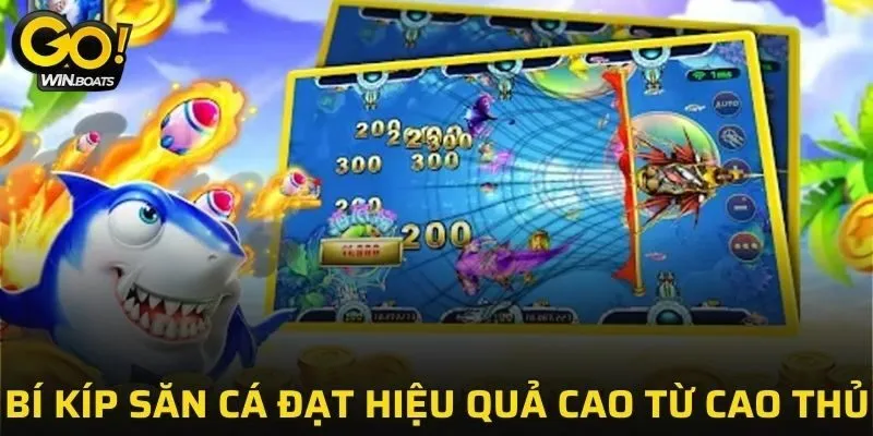 Kinh nghiệm săn cá ẵm trọn thưởng lớn