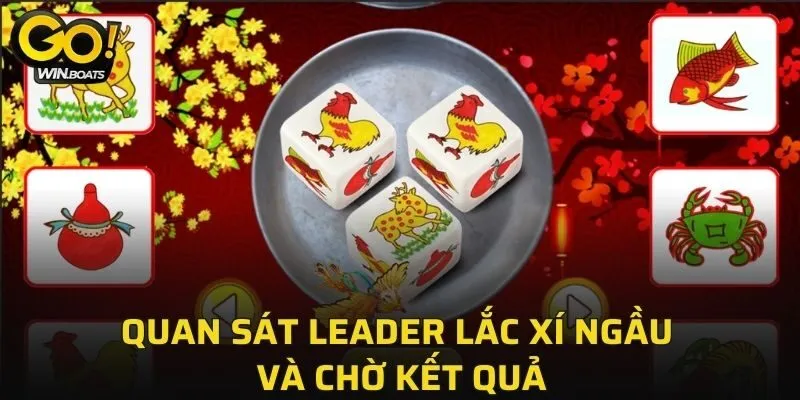Quan sát leader lắc xí ngầu và chờ kết quả