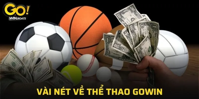 Vài nét về Thể Thao GOWIN